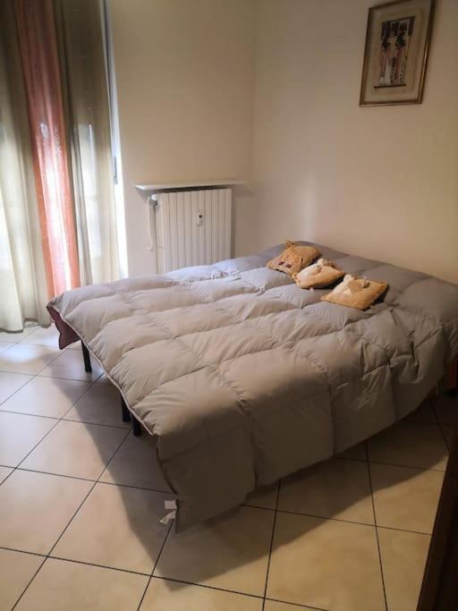 Alloggio Carla Asti Dış mekan fotoğraf